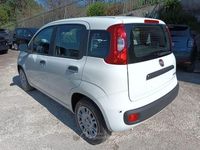 Nuova Fiat Panda Icon 65 CV (47 kW) 2025 Bianco Utilitaria
