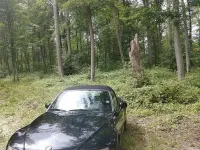 Usata BMW Z3 Efficient Dynamics 118 CV (86 kW) 2003 Nero Cabrio