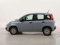 Usata Fiat Panda Easy 69 CV (50 kW) 2020 Grigio Utilitaria