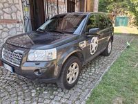 Usata Land Rover Freelander 2 160 CV (117 kW) 2009 Grigio SUV