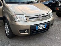 Usata Fiat Panda Dynamic 59 CV (43 kW) 2009 Marrone Utilitaria