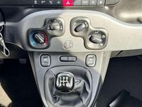 Usata Fiat Panda Cross City Life 84 CV (61 kW) 2021 Bianco Utilitaria