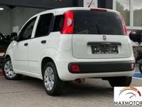 Usata Fiat Panda Easy 95 CV (69 kW) 2019 Bianco Utilitaria
