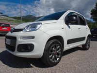 Usata Fiat Panda 4x4 Pop 80 CV (58 kW) 2017 Bianco Utilitaria