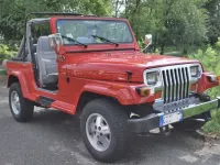 Usata Jeep Wrangler 120 CV (88 kW) 1991 SUV
