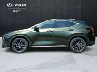 Usata Lexus NX300h Luxury Line 243 CV (178 kW) 2022 Verde SUV