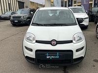 Usata Fiat Panda S 69 CV (50 kW) 2024 Bianco Utilitaria