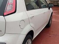 Usata Fiat Punto Evo Dynamic 69 CV (50 kW) 2009 Utilitaria