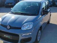 Usata Fiat Panda S 70 CV (51 kW) 2022 Grigio Utilitaria