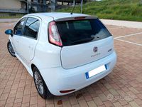 Usata Fiat Punto 75 CV (55 kW) 2012 Bianco Berlina