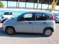 usata Fiat Panda 3ª serie - 2021