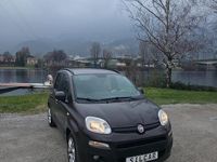 Usata Fiat Panda Lounge 69 CV (50 kW) 2013 Marrone Utilitaria