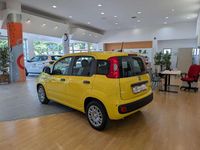 Nuova Fiat Panda Icon 65 CV (47 kW) 2026 Giallo Utilitaria