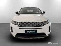 Usata Land Rover Range Rover evoque SE Dynamic 150 CV (110 kW) 2019 Bianco/nero SUV