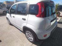 Usata Fiat Panda S 70 CV (51 kW) 2023 Bianco Utilitaria