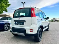 Usata Fiat Panda 4x4 S 86 CV (63 kW) 2017 Bianco gelato Utilitaria