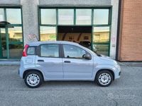 Usata Fiat Panda Easy 69 CV (50 kW) 2021 Grigio Utilitaria