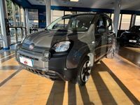 usata Fiat Panda Cross 1.0 FireFly S&S Hybrid City