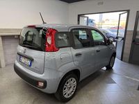 Usata Fiat Panda Lounge 69 CV (50 kW) 2020 Grigio Utilitaria
