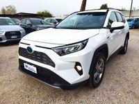 usata Toyota RAV4 EV 