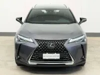 Usata Lexus UX 250h 145 CV (106 kW) 2022 Grigio SUV