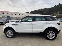 Usata Land Rover Range Rover evoque Pure 150 CV (110 kW) 2016 Bianco SUV