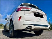 Usata Ford Kuga ST-Line X 152 CV (111 kW) 2022 Bianco SUV