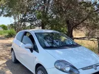Usata Fiat Punto Evo 75 CV (55 kW) 2010 Bianco Utilitaria