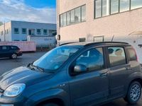 Usata Fiat Panda 2020 Berlina
