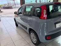 Usata Fiat Panda Easy 69 CV (50 kW) 2019 Grigio Berlina