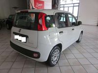 Usata Fiat Panda Easy 69 CV (50 kW) 2020 Bianco Utilitaria