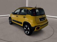 Usata Fiat Panda Cross Cross 69 CV (50 kW) 2021 Giallo Utilitaria