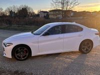 Usata Alfa Romeo Giulia Executive 190 CV (139 kW) 2019 Bianco Berlina