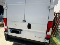 Usata Opel Movano 165 CV (121 kW) 2022 Bianco Furgone