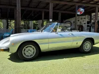 Usata Alfa Romeo Spider 88 CV (64 kW) 1970 Grigio Cabrio