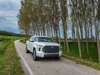 Usata Toyota Tundra 436 CV (320 kW) 2024 Bianco Pick-up