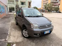 Usata Fiat Panda 4x4 Climbing 75 CV (55 kW) 2012 Grigio Utilitaria