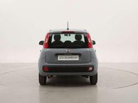 Usata Fiat Panda Easy 69 CV (50 kW) 2020 Grigio Utilitaria