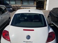 usata VW Beetle New1.6 tdi 105cv