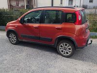 Usata Fiat Panda 4x4 75 CV (55 kW) 2013 Utilitaria