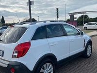 Usata Opel Antara Cosmo 163 CV (119 kW) 2016 Bianco SUV