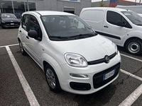 Usata Fiat Panda Easy 69 CV (50 kW) 2021 Grigio Utilitaria