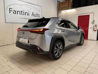 Usata Lexus UX 250h Sport Line 152 CV (111 kW) 2024 Grigio SUV