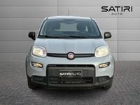 Usata Fiat Panda S 69 CV (50 kW) 2022 Bianco Utilitaria