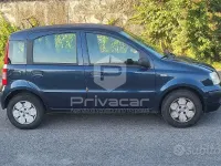 Usata Fiat Panda Active 54 CV (39 kW) 2008 Bluazzurro Utilitaria