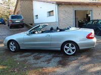 usata Mercedes CLK200 CLK 200 Kompr. TPS cat Cabrio Avantg.