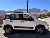 Usata Fiat Panda Cross Cross 90 CV (66 kW) 2020 Utilitaria