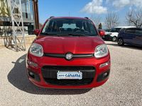Usata Fiat Panda Lounge 69 CV (50 kW) 2013 Rosso Utilitaria