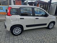 Usata Fiat Panda Easy 69 CV (50 kW) 2017 Beige Utilitaria