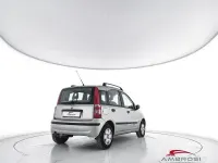 Usata Fiat Panda Dynamic 60 CV (44 kW) 2004 Grigio Utilitaria